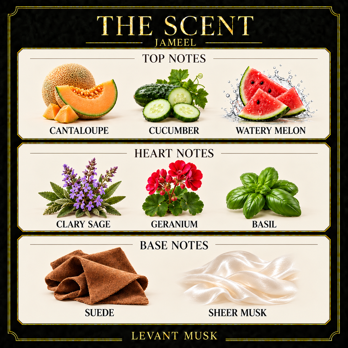 JAMEEL scent notes. Top: Cantaloupe; cucumber; watery melon. Heart: clary sage; geranium; basil. Base: Suede; sheer musk.
