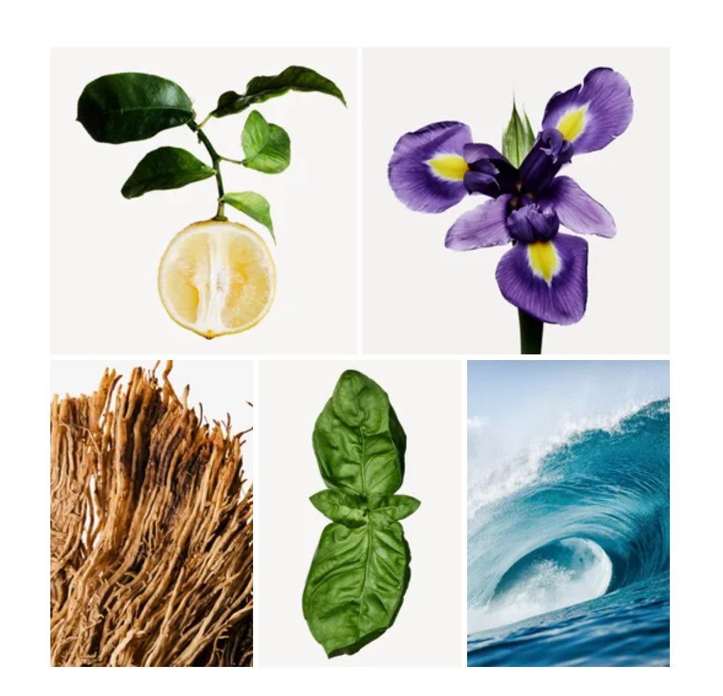 Jameel fragrance styled with notes of cantaloupe, aquatic accord, and suede