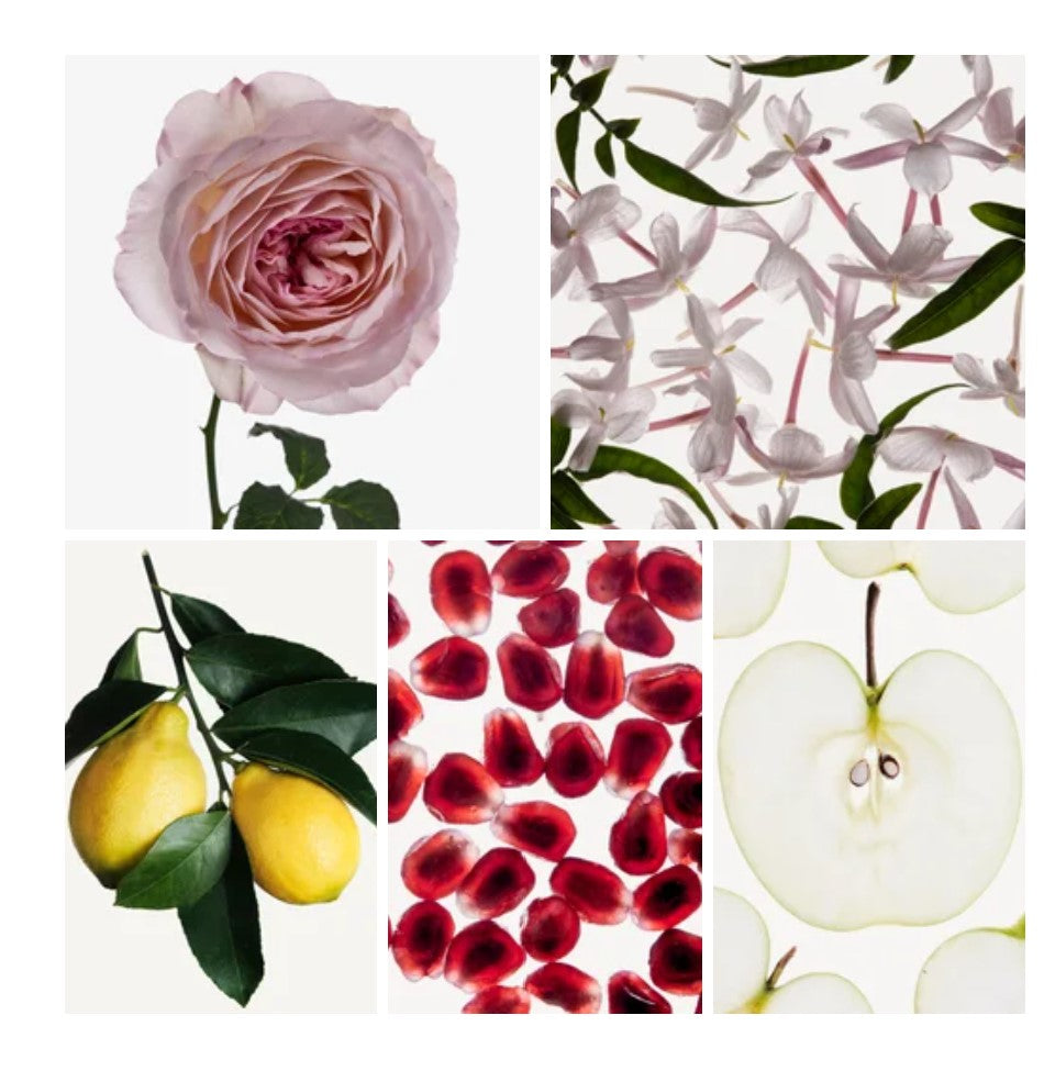 Lana fragrance styled with notes of sweet pea, quince, and damask rose
