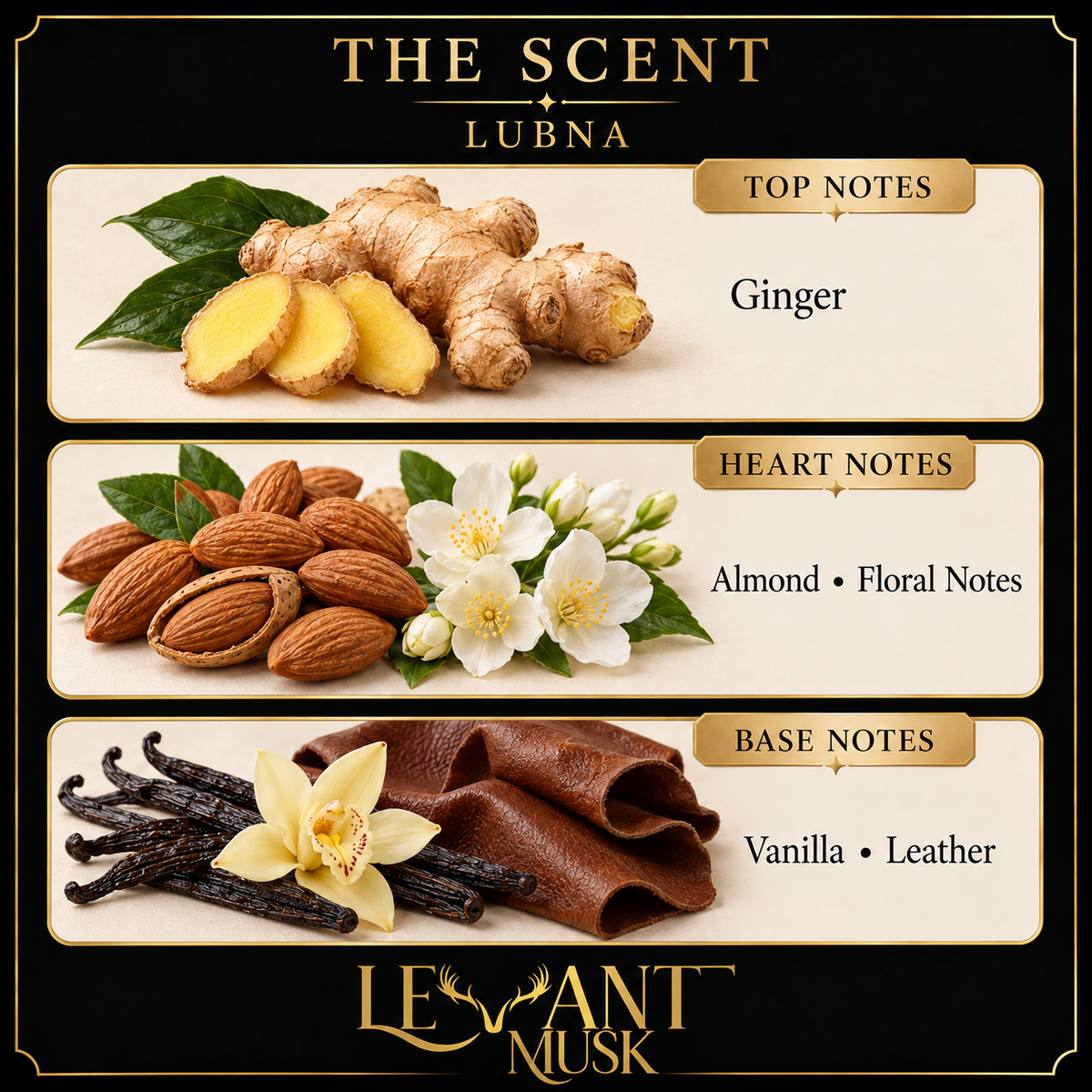 LUBNA scent notes: Ginger; Almond and Floral Notes; Vanilla and Leather