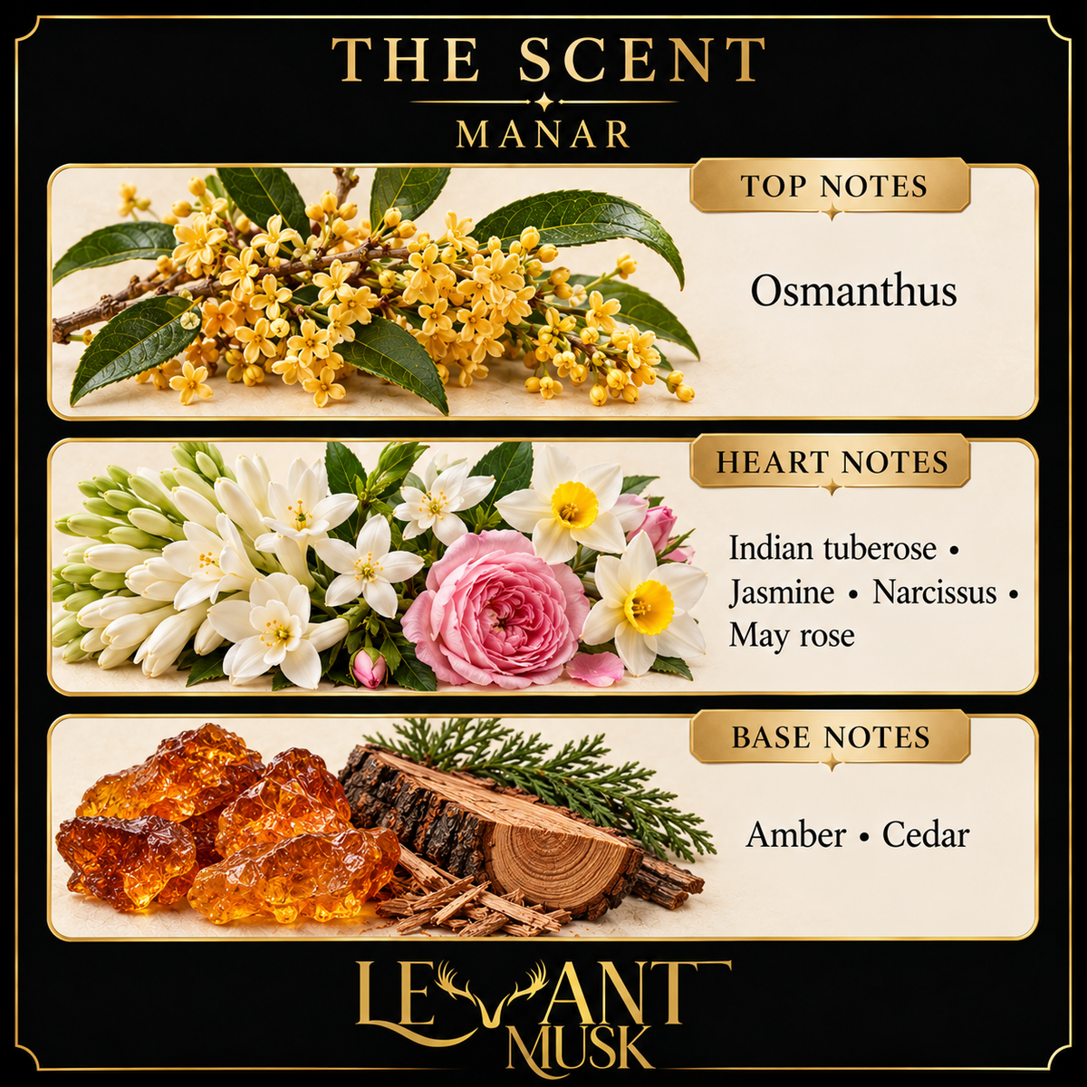 MANAR scent notes. Top: Osmanthus. Heart: Indian tuberose; jasmine; narcissus; May rose. Base: Amber; cedar.