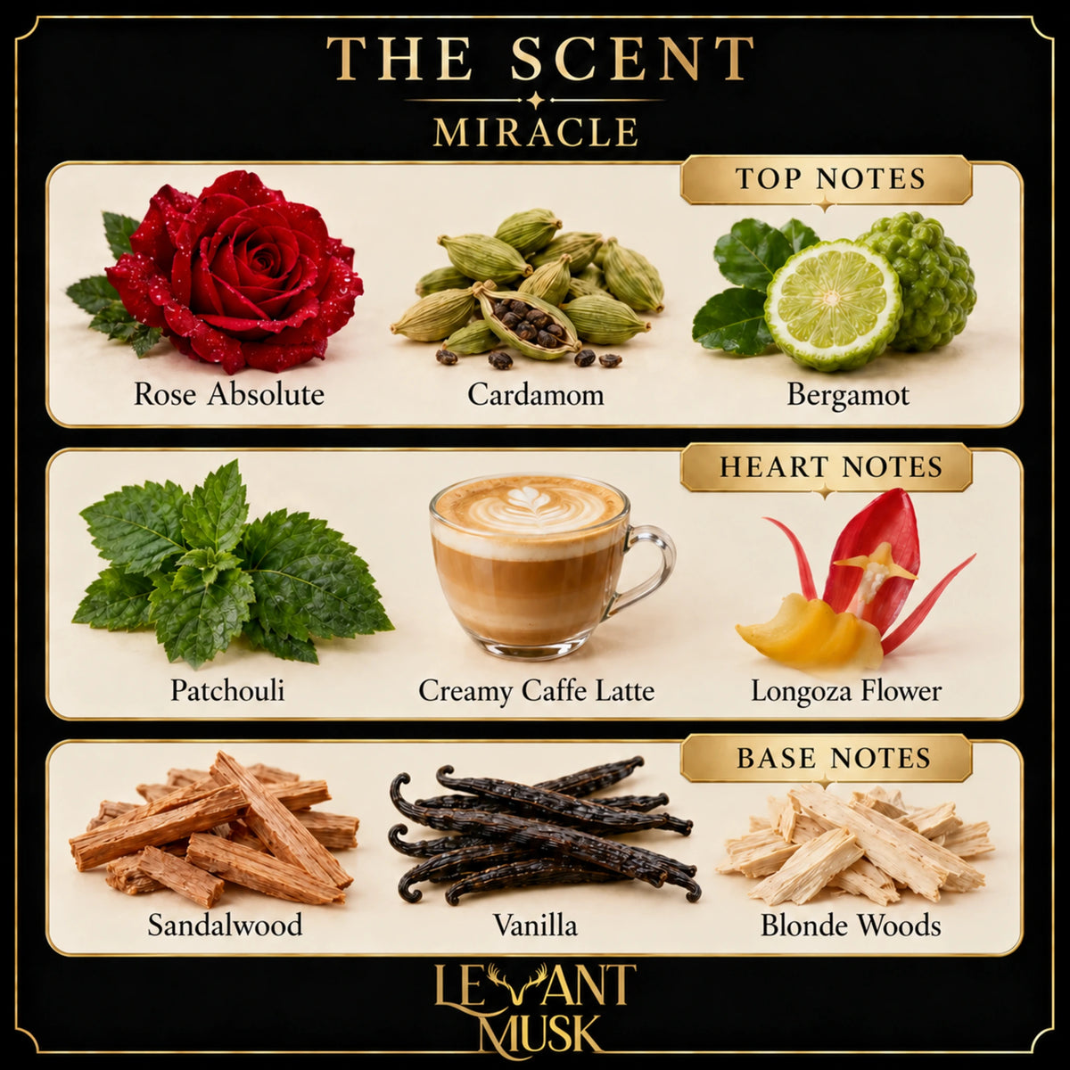 MIRACLE inspiration scent profile, grouped into top notes of rose absolute, cardamom and bergamot; heart notes of patchouli, creamy caffe latte and longoza flower; and base notes of sandalwood, vanilla and blonde woods.