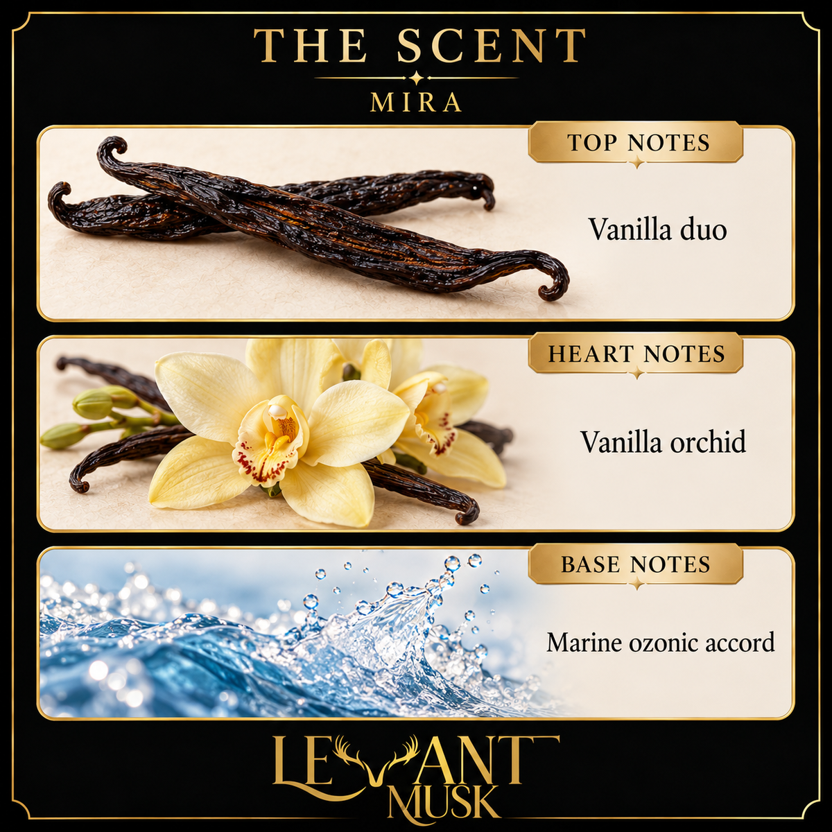 MIRA scent notes. Top: Vanilla duo. Heart: Vanilla orchid. Base: Marine ozonic accord.