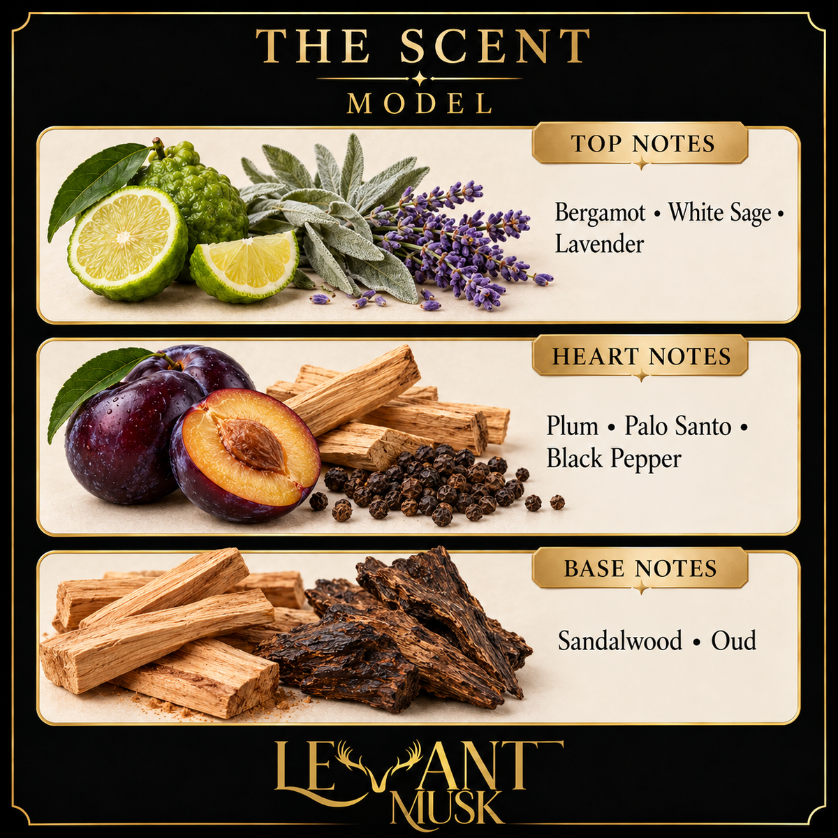 MODEL scent card: top bergamot, white sage and lavender; heart plum, palo santo and black pepper; base sandalwood and oud