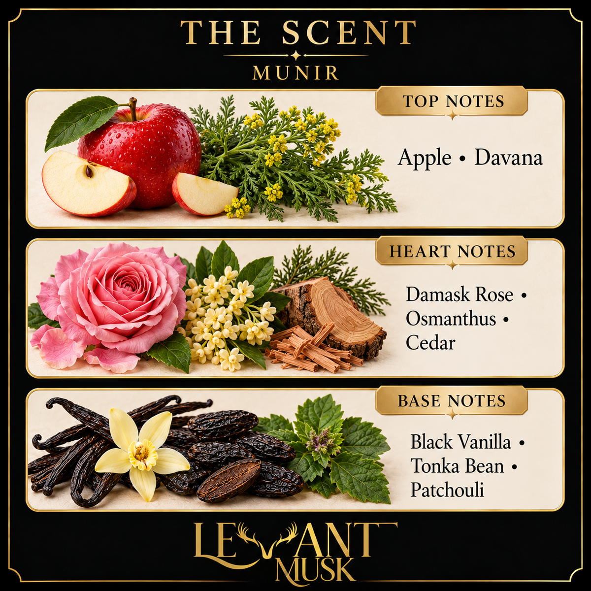 MUNIR fragrance notes. Top: Apple; davana. Heart: Damask rose; osmanthus; cedar. Base: Black vanilla; tonka bean; patchouli.