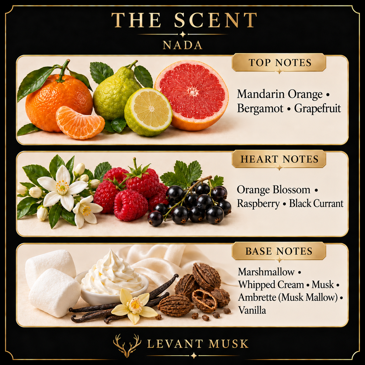 NADA fragrance notes: Mandarin Orange, Bergamot, Grapefruit; Orange Blossom, Raspberry, Black Currant; Marshmallow, Whipped Cream, Musk, Ambrette (Musk Mallow), Vanilla