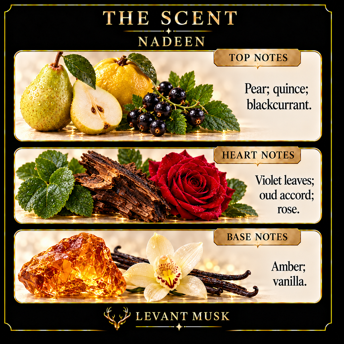 NADEEN by Levant Musk note card. Top: pear, quince, blackcurrant. Heart: violet leaves, oud accord, rose. Base: amber, vanilla.