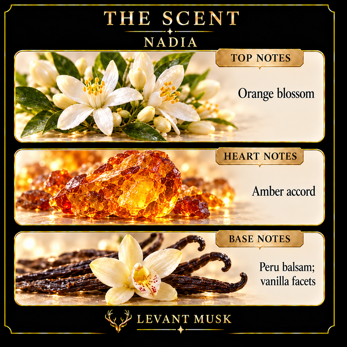 NADIA by Levant Musk note card