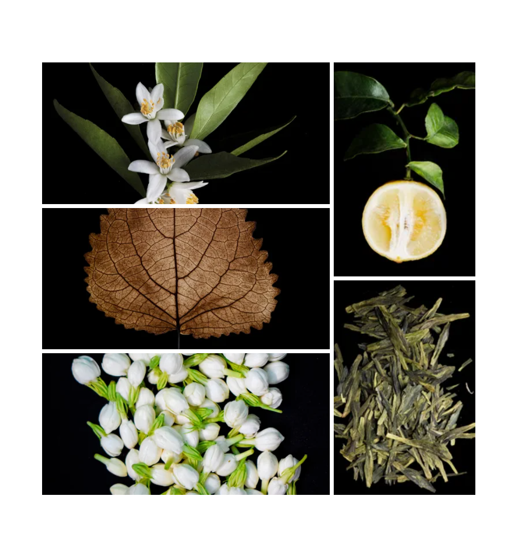 Najah fragrance styled with notes of peony, centifolia rose, and vanilla