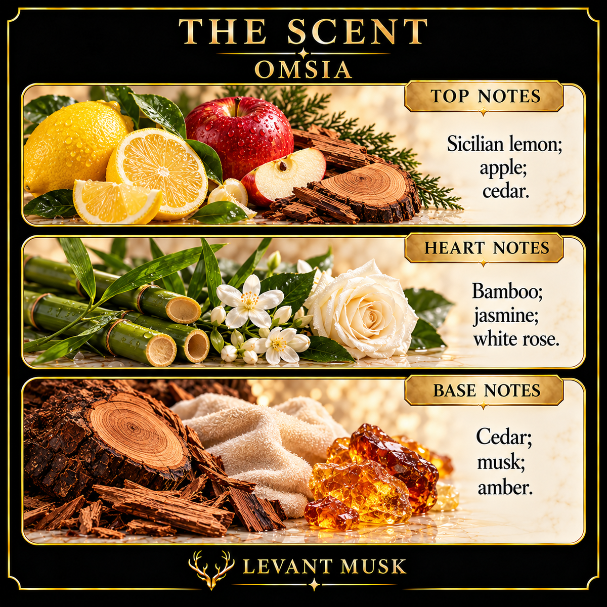OMSIA by Levant Musk note card
