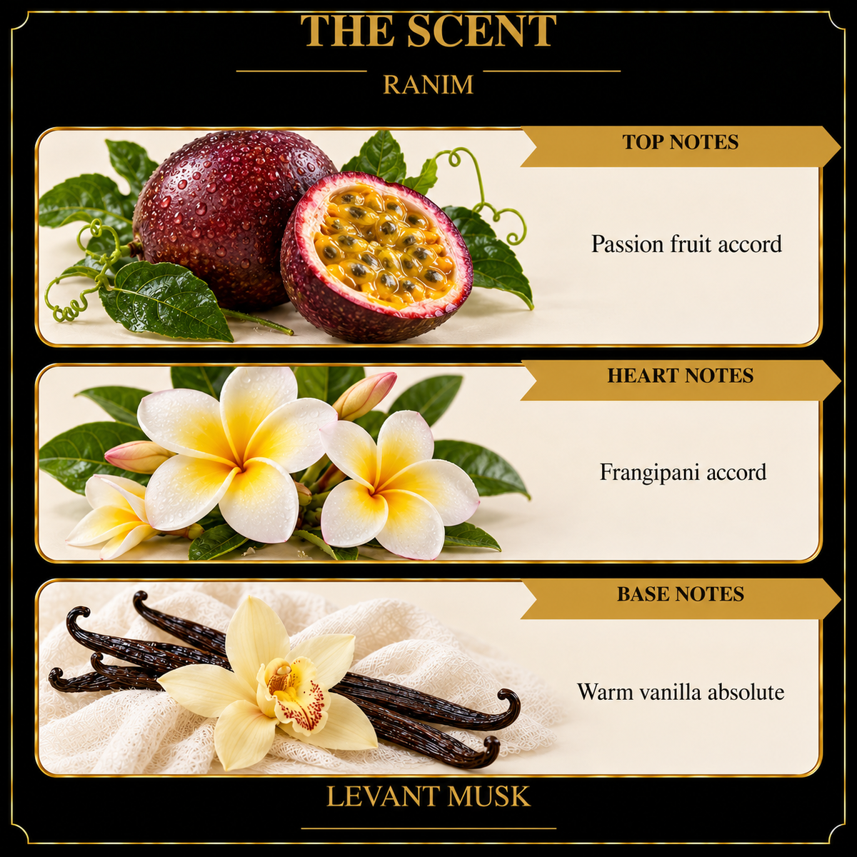 RANIM by Levant Musk note card
