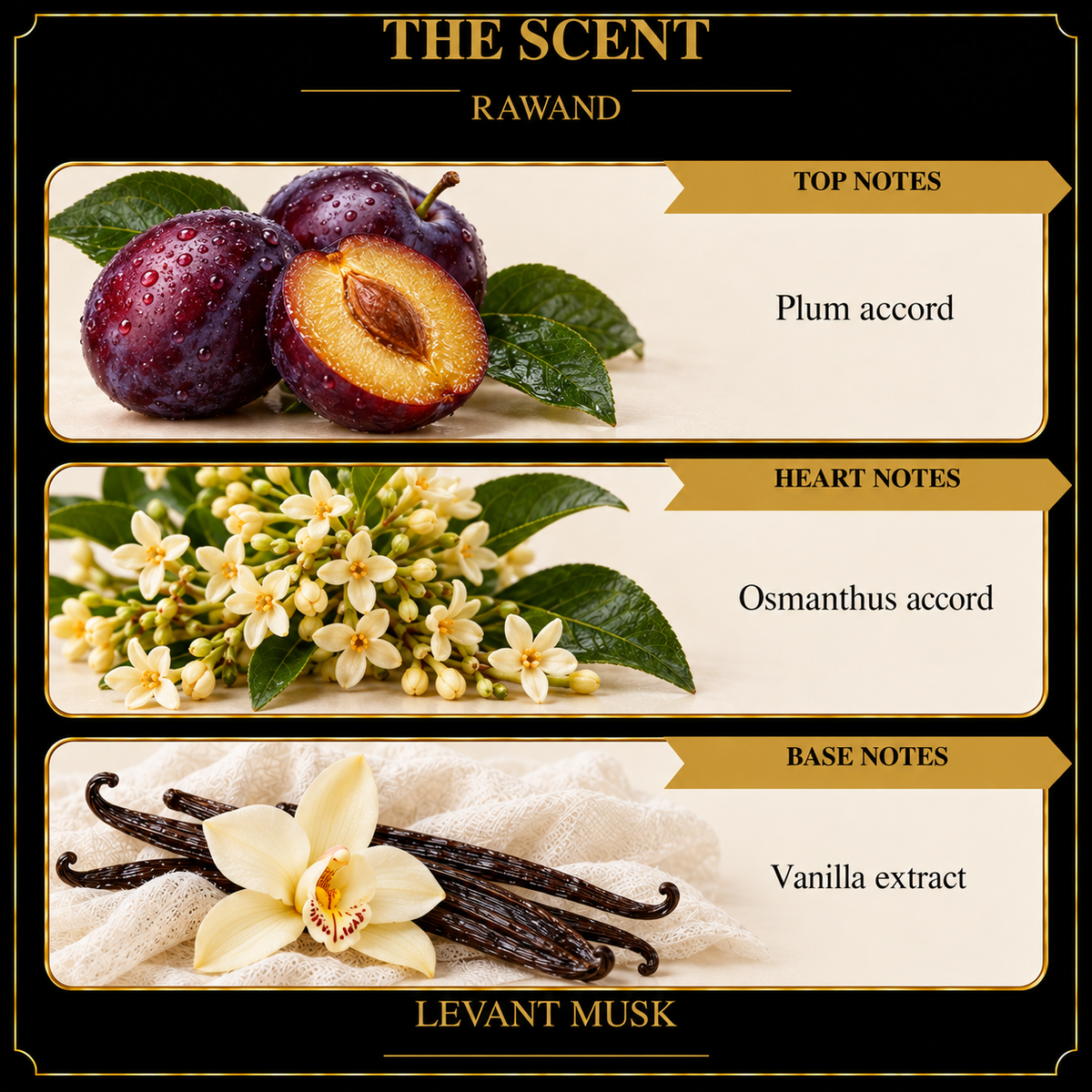 RAWAND by Levant Musk note card
