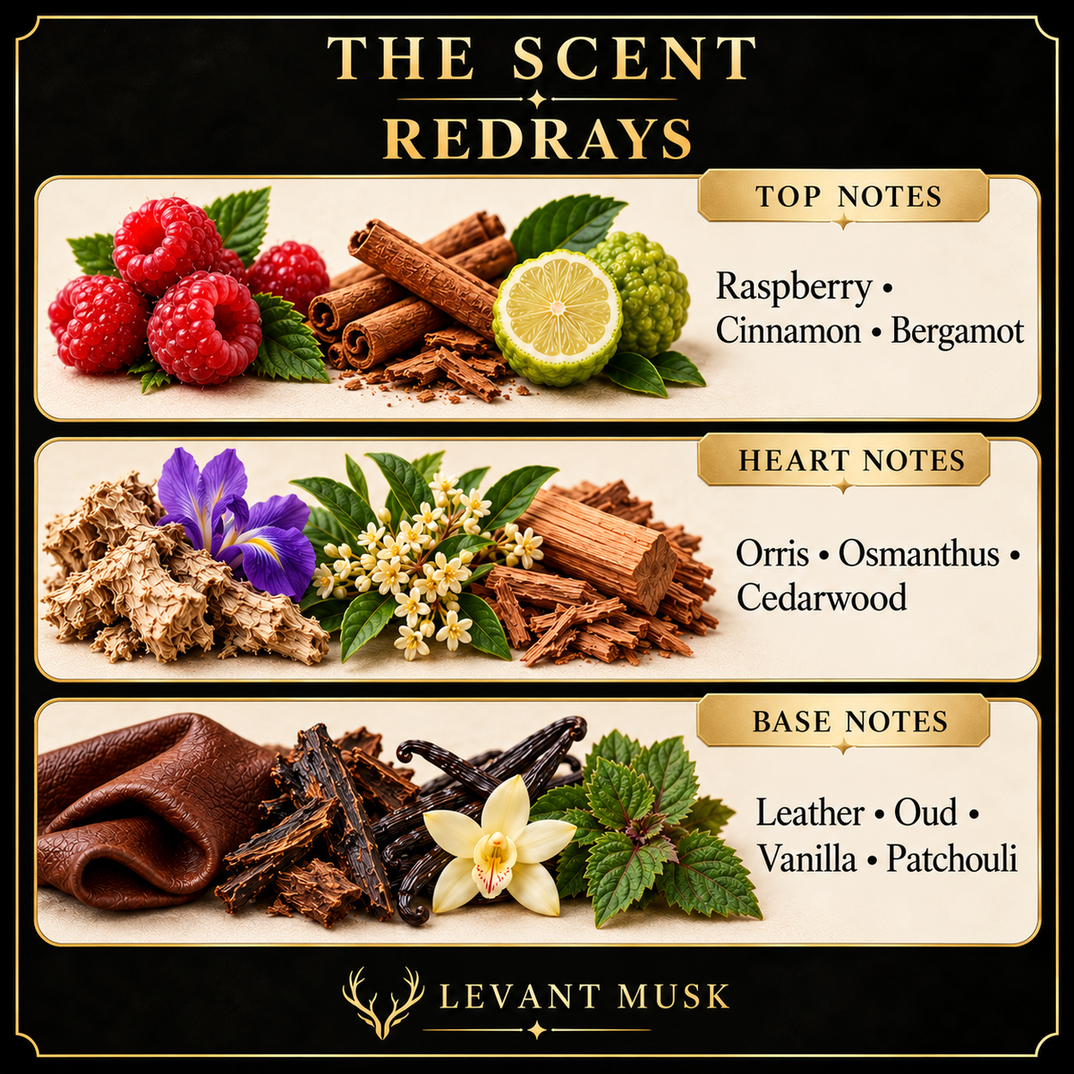 REDRAYS fragrance notes: Raspberry, Cinnamon, Bergamot; Orris, Osmanthus, Cedarwood; Leather, Oud, Vanilla, Patchouli