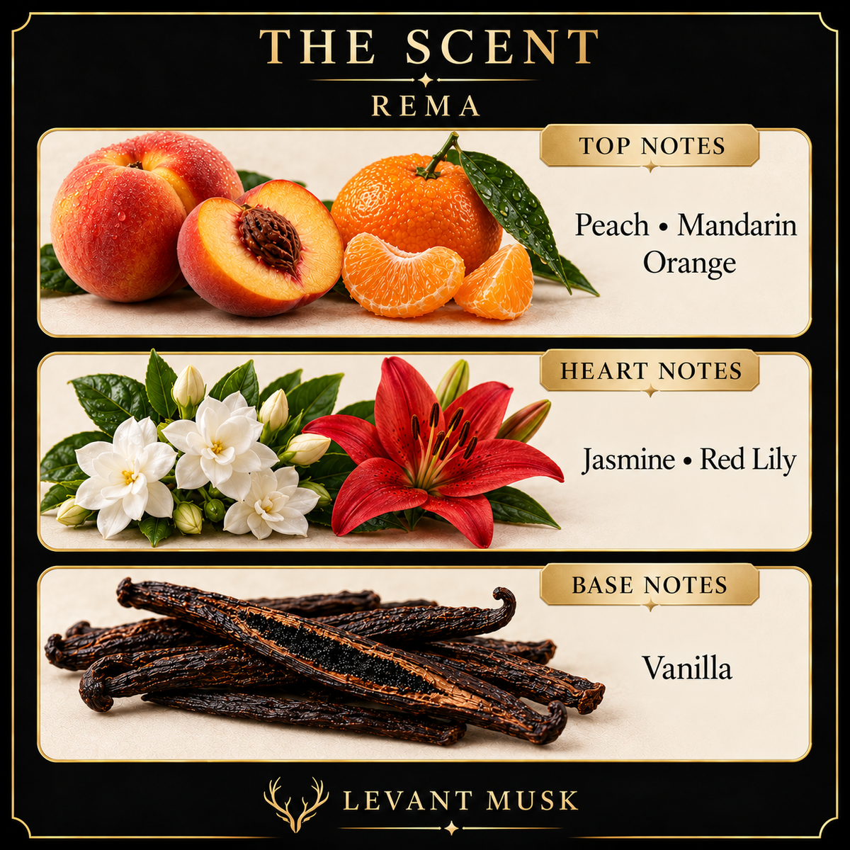 REMA fragrance notes: Peach, Mandarin Orange; Jasmine, Red Lily; Vanilla