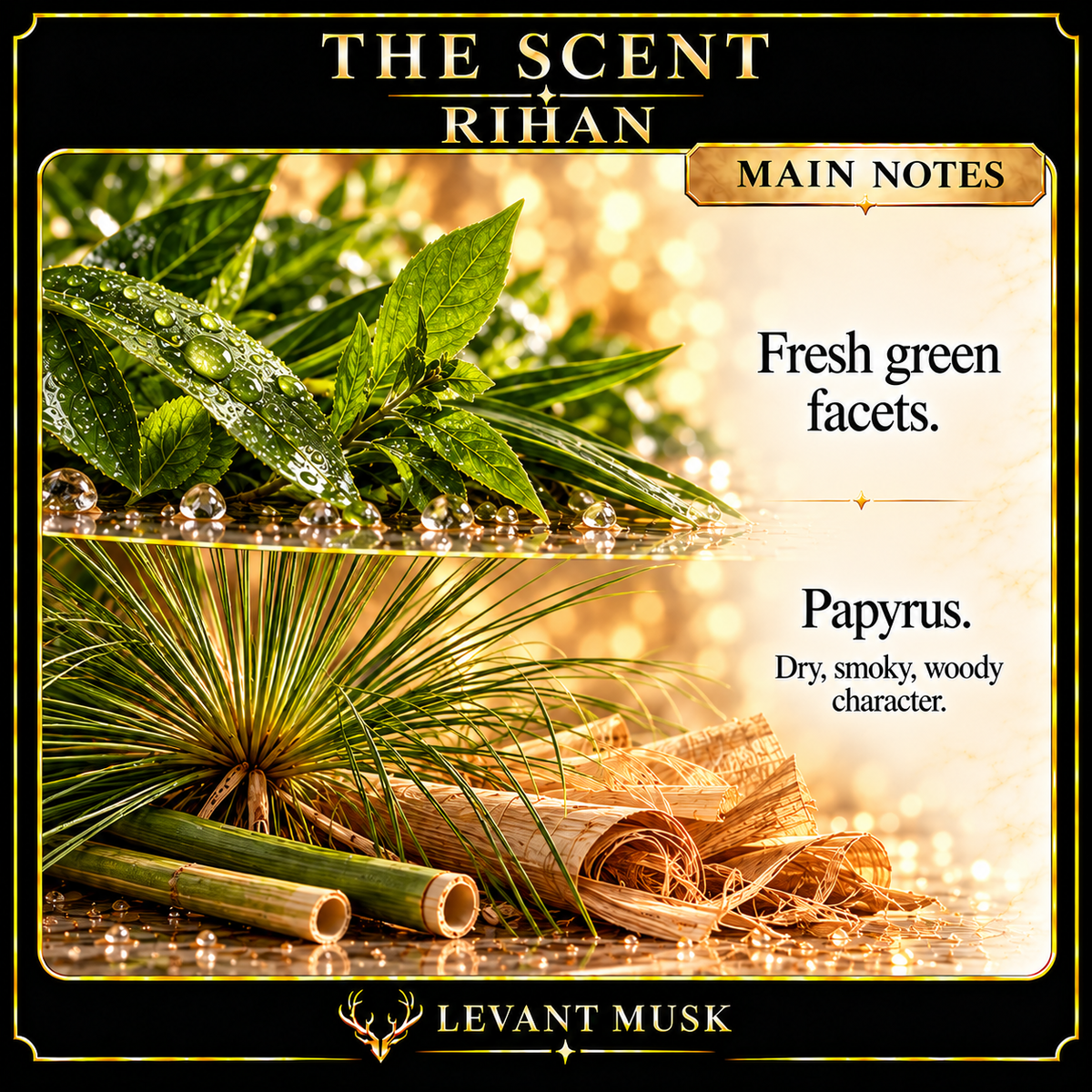 RIHAN by Levant Musk corrected notes card