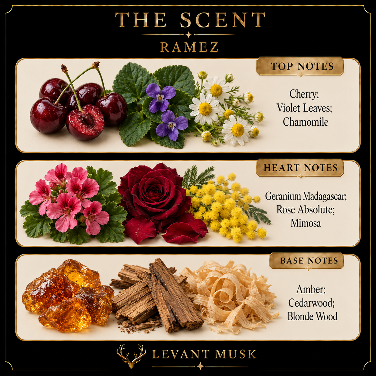 A branded scent notes graphic for Levant Musk titled 'The Scent Ramez,' showing three horizontal rows with illustrated botanicals and text labels for top notes, heart notes, and base notes: cherries, violet leaves, chamomile, geranium, rose, mimosa, amber, cedarwood, and blonde wood.