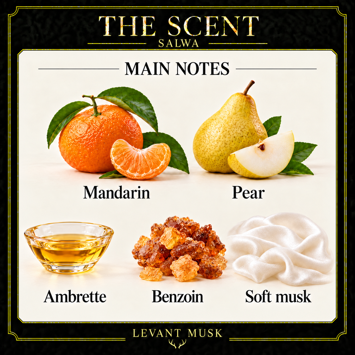 SALWA by Levant Musk corrected notes card