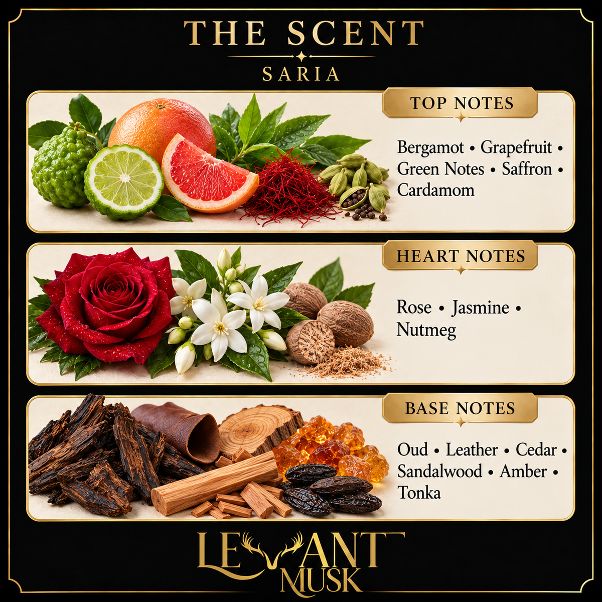 SARIA scent notes. top: Bergamot, Grapefruit, Green Notes, Saffron, Cardamom; heart: Rose, Jasmine, Nutmeg; base: Oud, Leather, Cedar, Sandalwood, Amber, Tonka