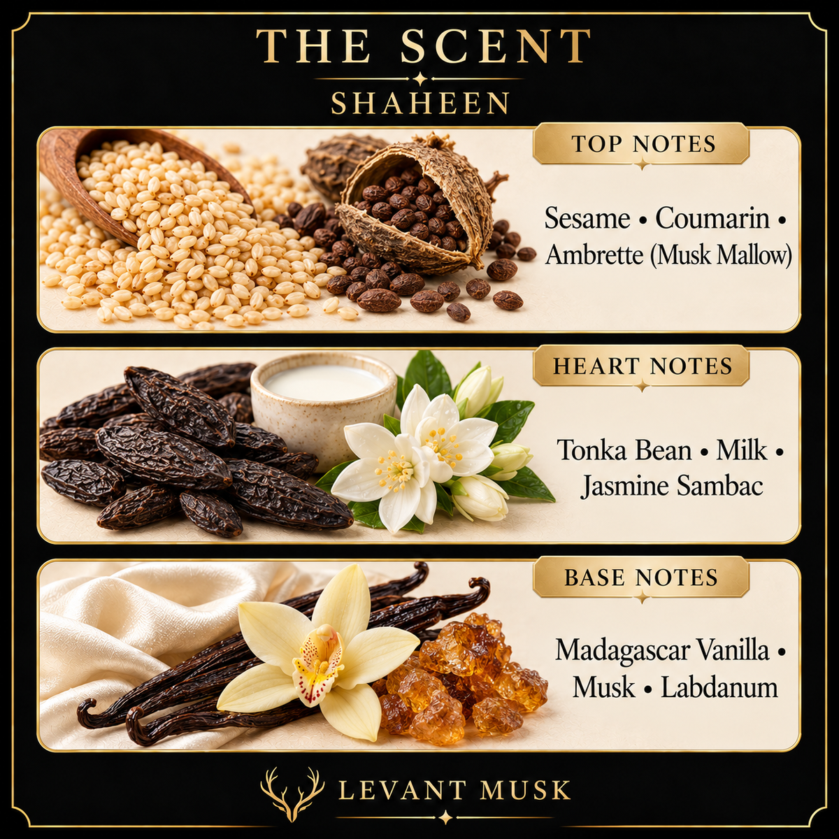 SHAHEEN notes: Sesame, Coumarin, Ambrette; Tonka Bean, Milk, Jasmine Sambac; Madagascar Vanilla, Musk, Labdanum