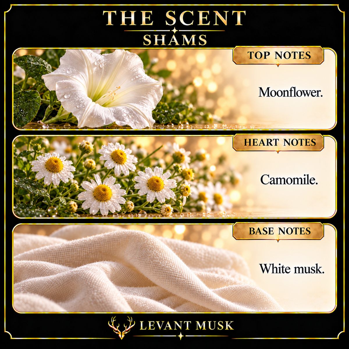 SHAMS by Levant Musk note card. Top: moonflower. Heart: camomile. Base: white musk.