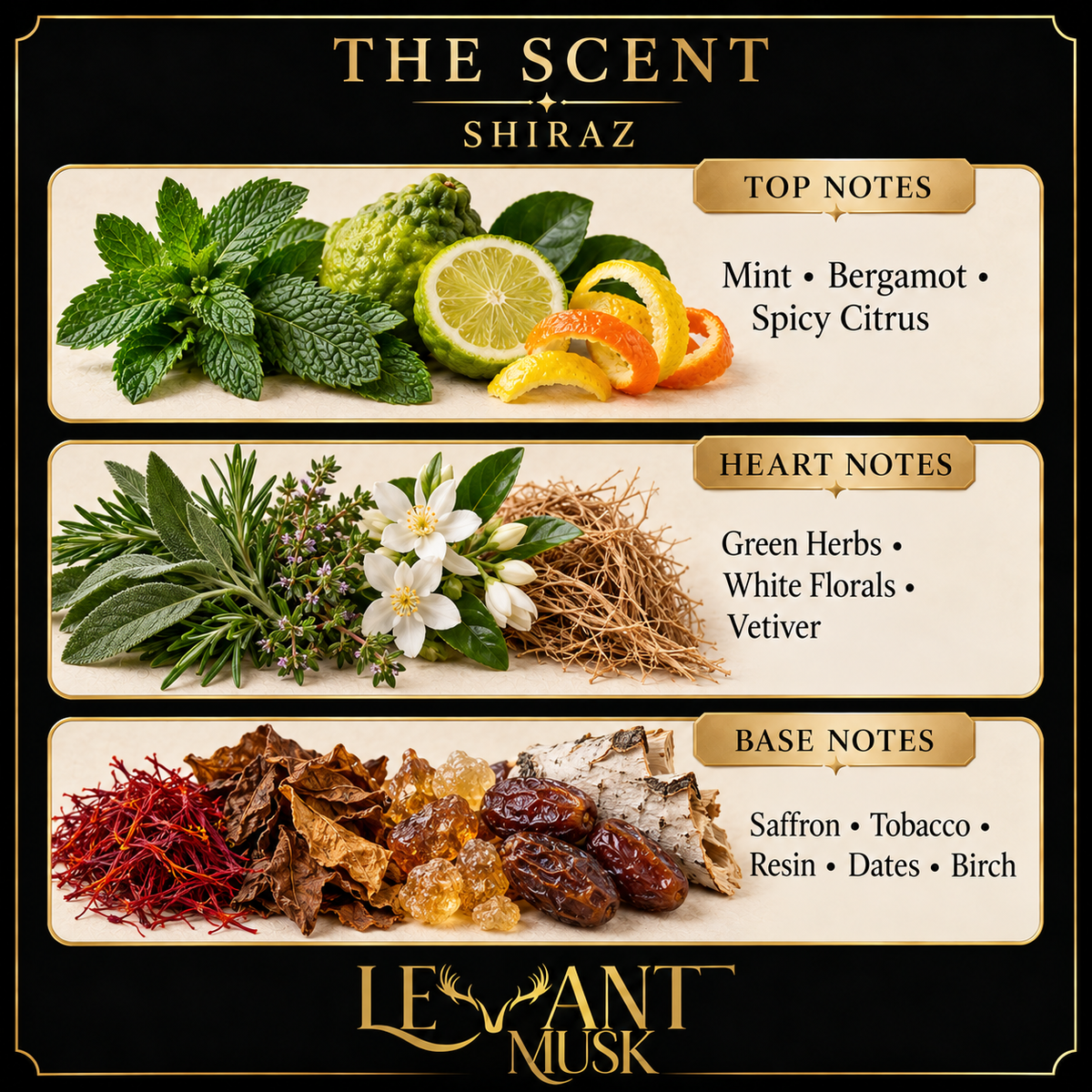 SHIRAZ scent card: top mint, bergamot, spicy citrus; heart green herbs, white florals, vetiver; base saffron, tobacco, resin, dates, birch