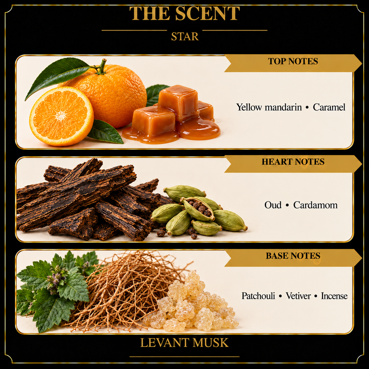 STAR by Levant Musk corrected notes card