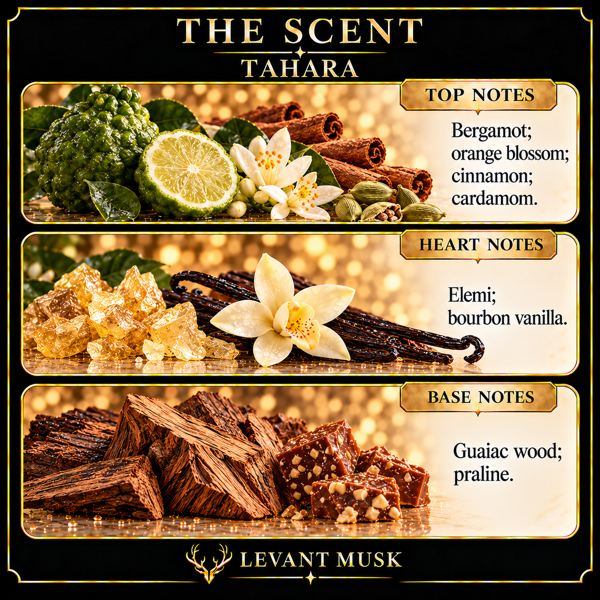 TAHARA notes. top: Bergamot, orange blossom, cinnamon, cardamom. heart: Elemi, bourbon vanilla. base: Guaiac wood, praline.