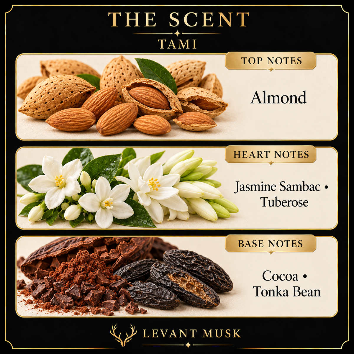 TAMI fragrance notes: Almond; Jasmine Sambac, Tuberose; Cocoa, Tonka Bean