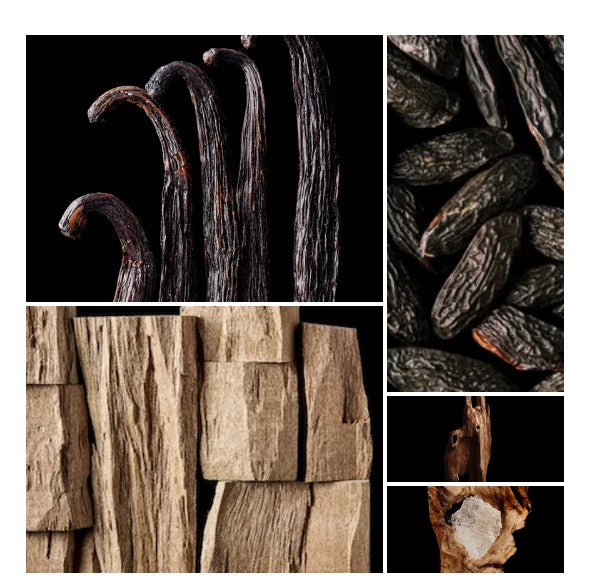 Vera fragrance styled with notes of safraleine, coffee absolute, and mahogany wood