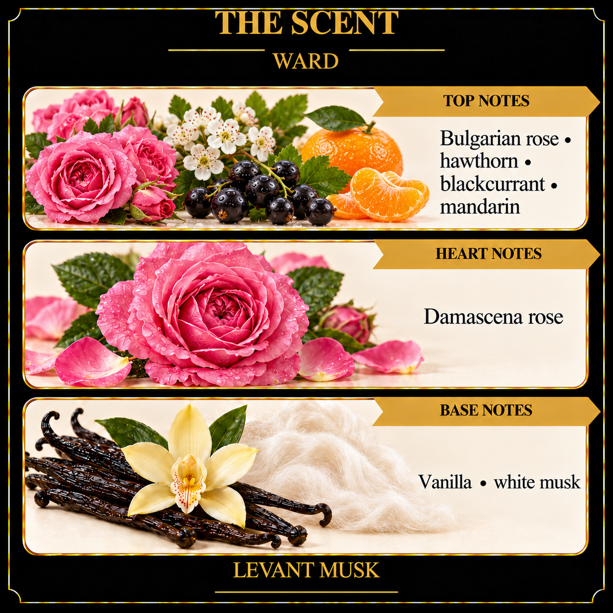 WARD notes. top: Bulgarian rose, hawthorn, blackcurrant, mandarin. heart: Damascena rose. base: Vanilla, white musk.
