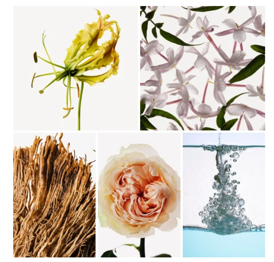 Zaina fragrance styled with notes of aldehydes, iris, and sandalwood