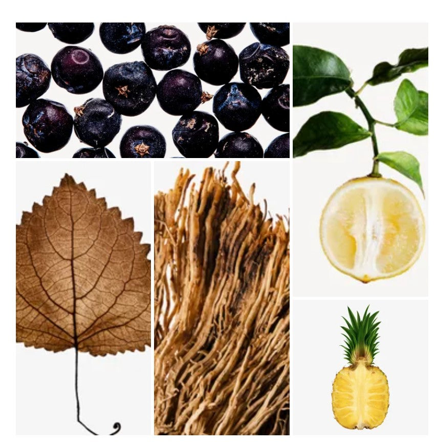 Bassam fragrance styled with notes of bergamot, blackcurrant, and patchouli