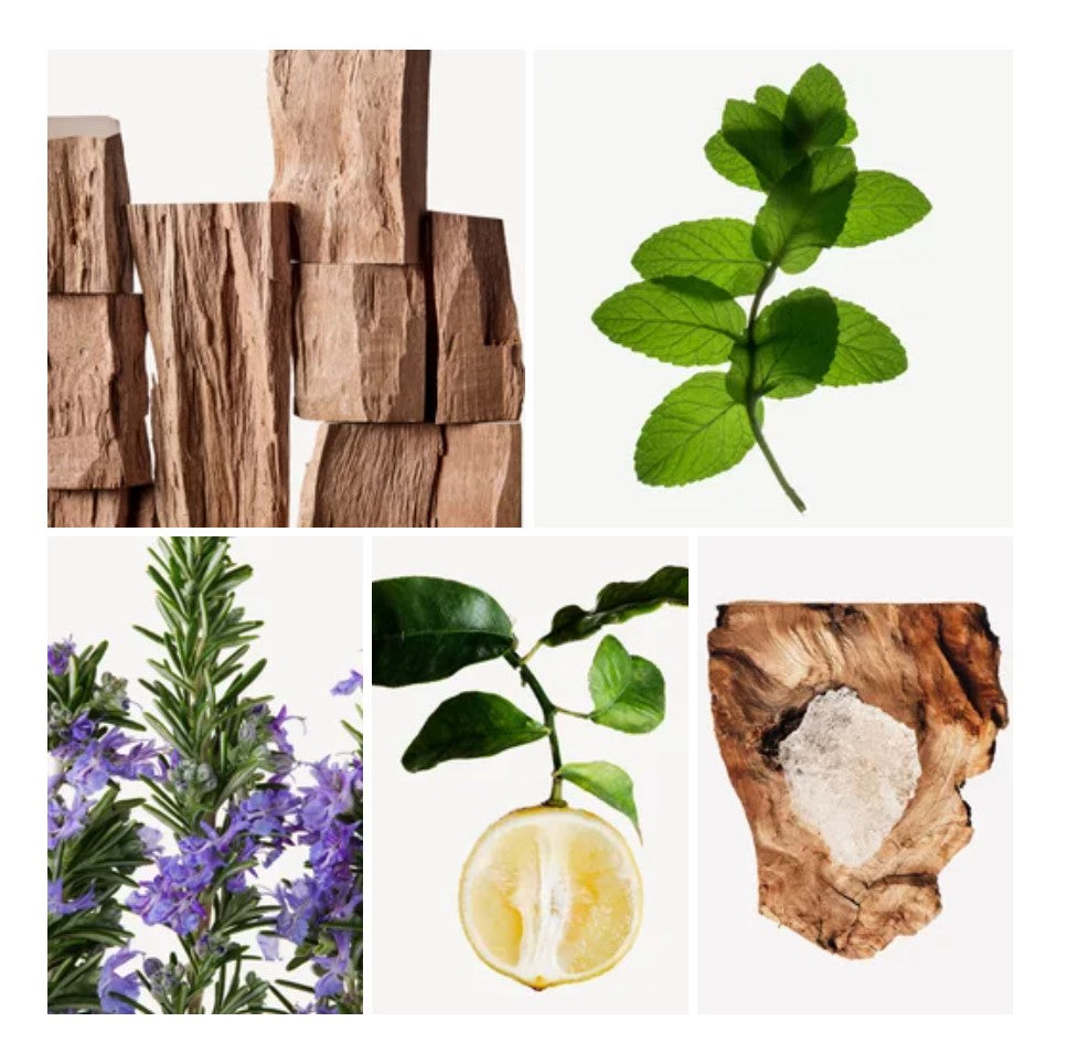 Baysan fragrance styled with notes of bergamot, geranium, and sandalwood
