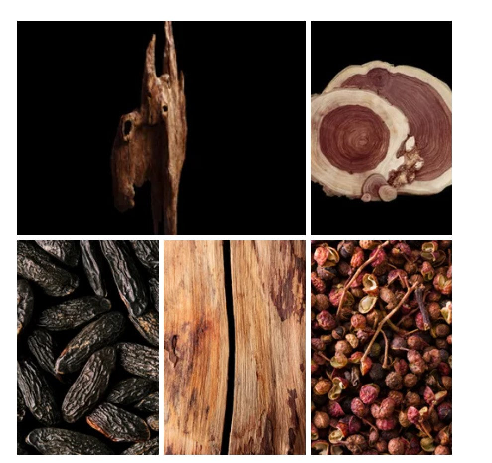Deema fragrance styled with notes of rosewood, oud, and tonka bean