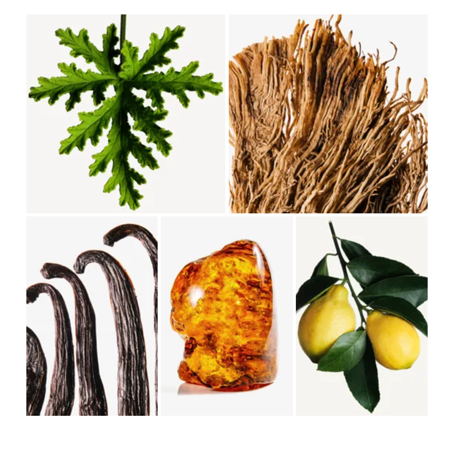 Eyad fragrance styled with notes of lemon, ginger, and incense