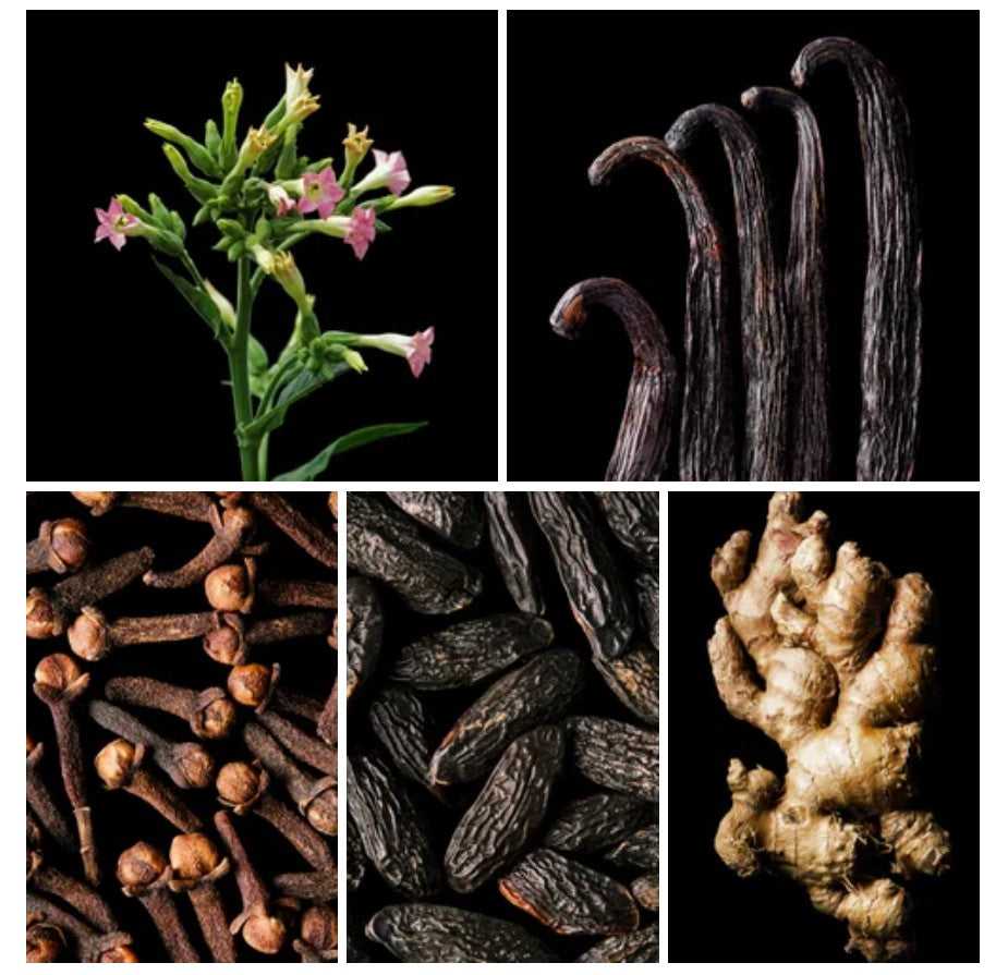 Farah fragrance styled with notes of tobacco leaf, vanilla, and dried fruits