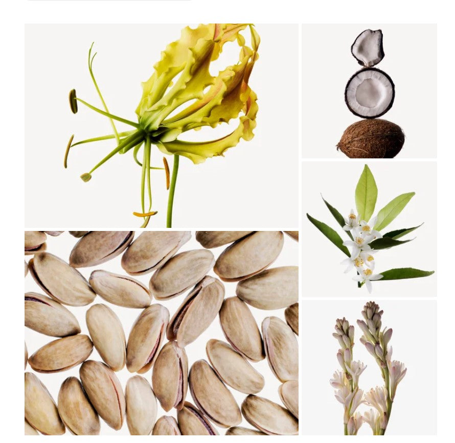 Florida fragrance styled with notes of bergamot, tuberose, and coconut