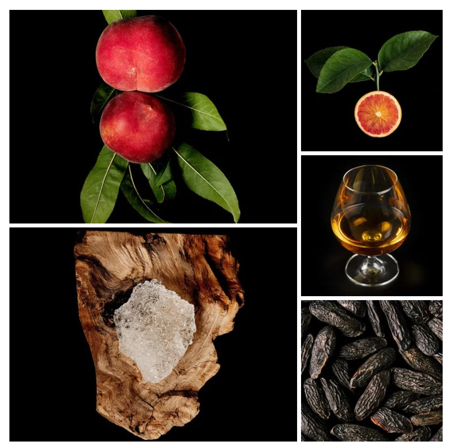 Georgia fragrance styled with notes of peach, rum, and sandalwood