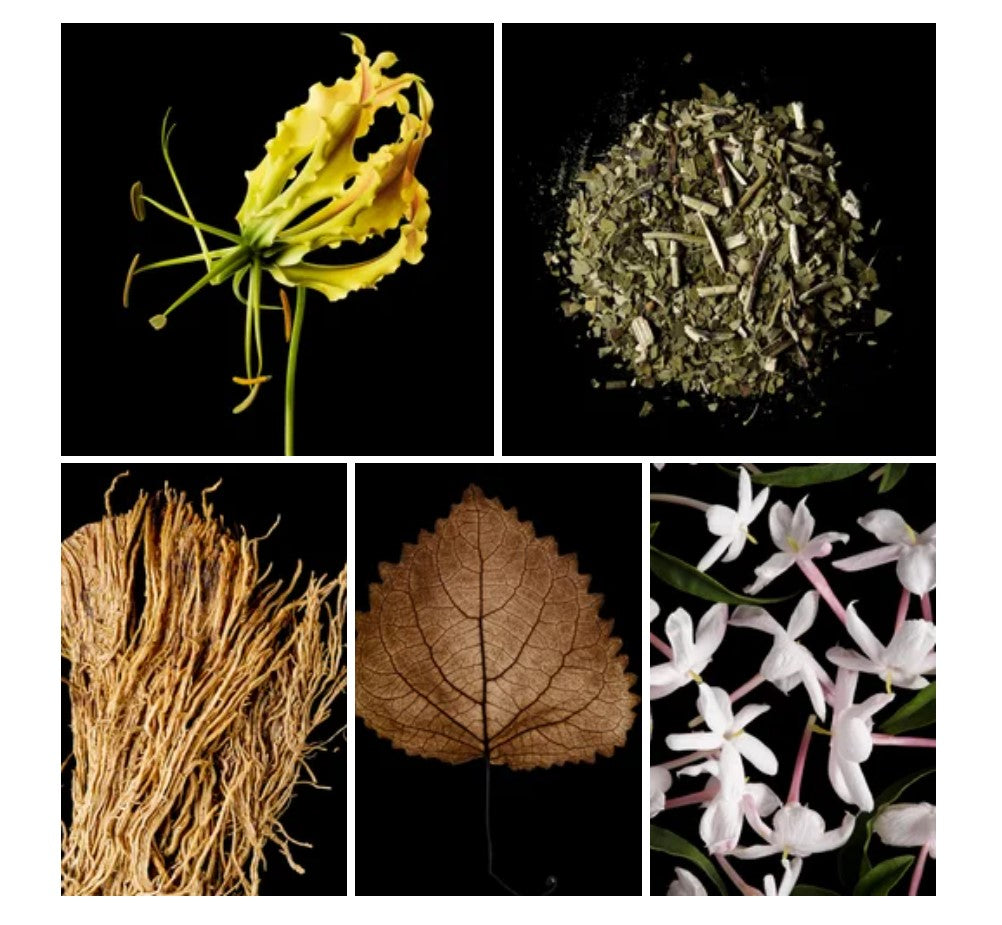 Heba fragrance styled with notes of may blossom, rose, and patchouli