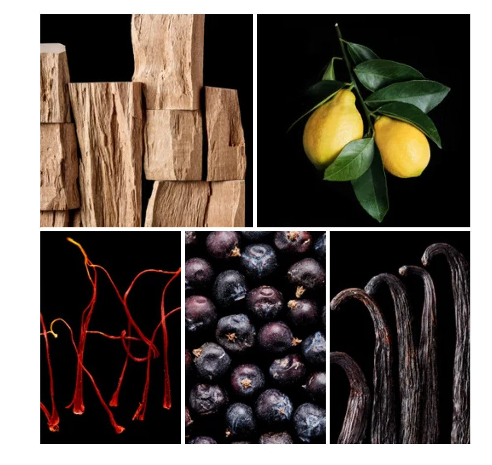 Jamal fragrance styled with notes of grapefruit, saffron, and coffee