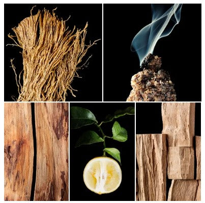 James fragrance styled with notes of bergamot, cedar, and sandalwood