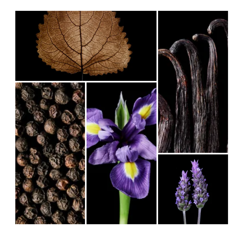 Junaid fragrance styled with notes of pepper, orris, and patchouli