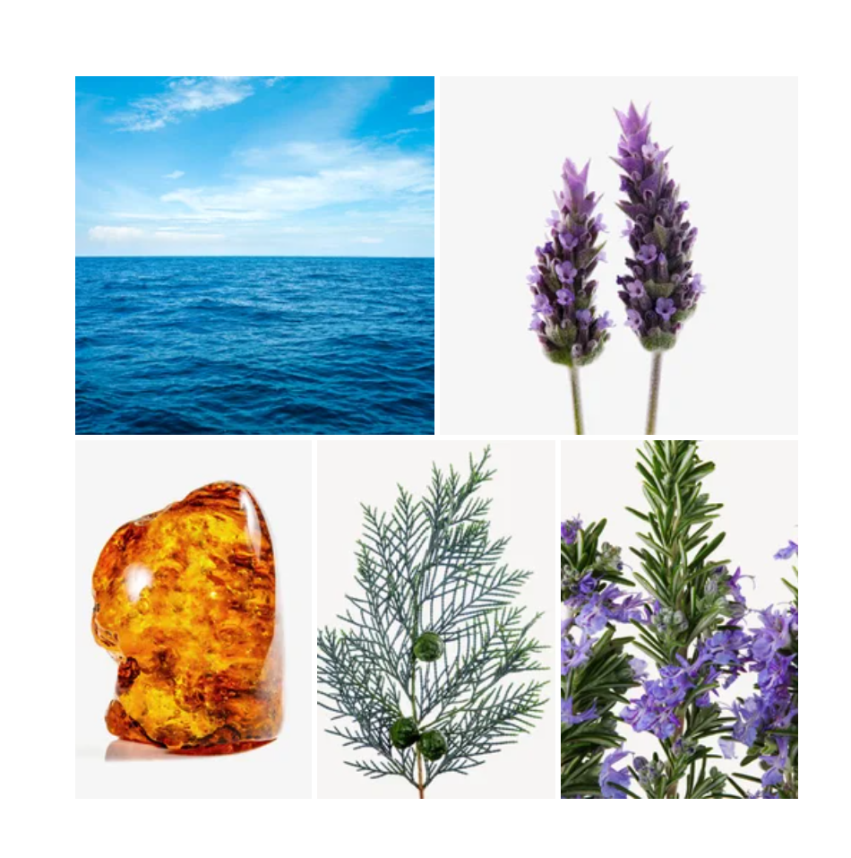 Kamal fragrance styled with notes of green mandarin, rosemary, and patchouli
