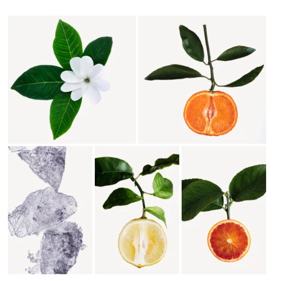 Madina fragrance styled with notes of blood orange, tiaré flower, and powdery musk