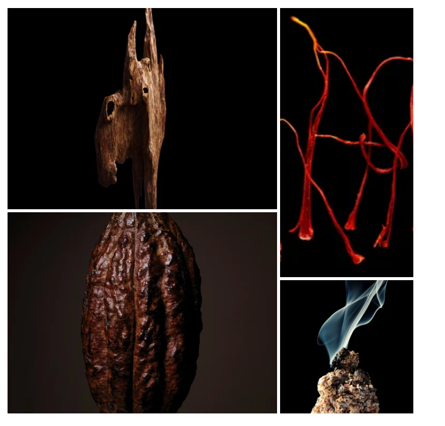 Majid fragrance styled with notes of saffron, raw cocoa bean, and assam oud