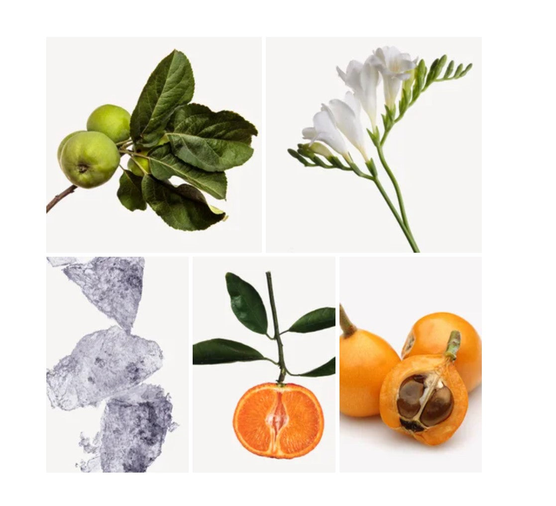 Marwa fragrance styled with notes of red apple, purple freesia, and musk