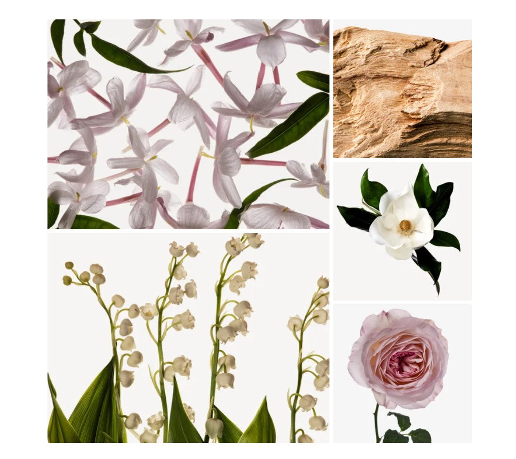 Miriam fragrance styled with notes of lily-of-the-valley, jasmine, and guaiac wood