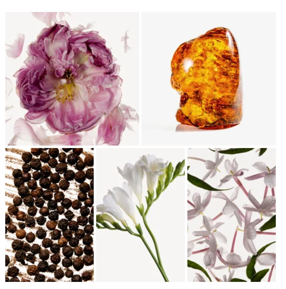 Myar fragrance styled with notes of lychee, magnolia, and amber