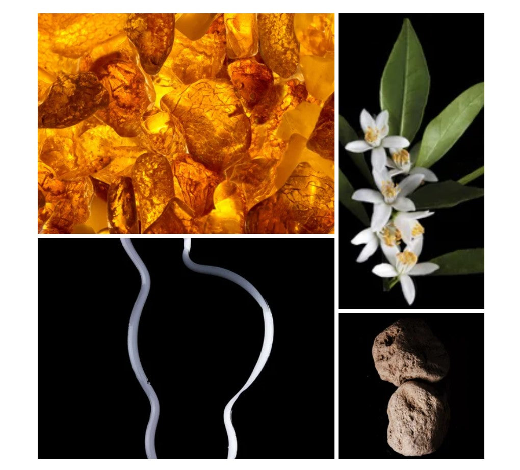 Nadia fragrance styled with notes of orange blossom, amber accord, and peru balsam