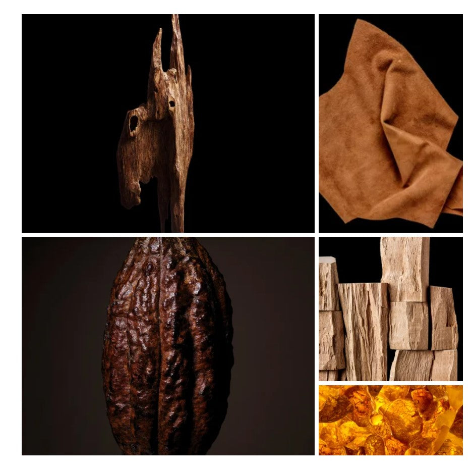 Nawal fragrance styled with notes of cacao, turmeric, and suede